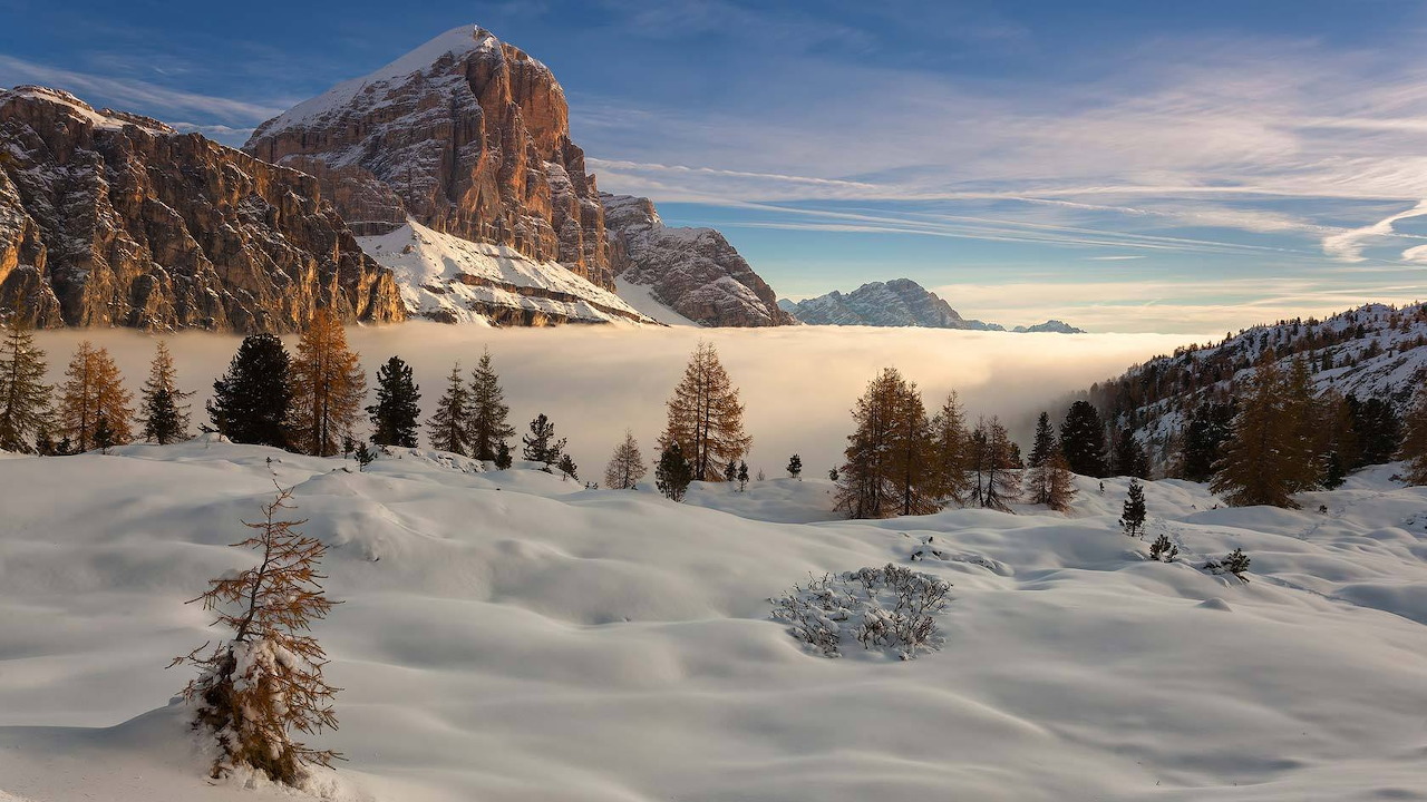 Landscape - Snow Map