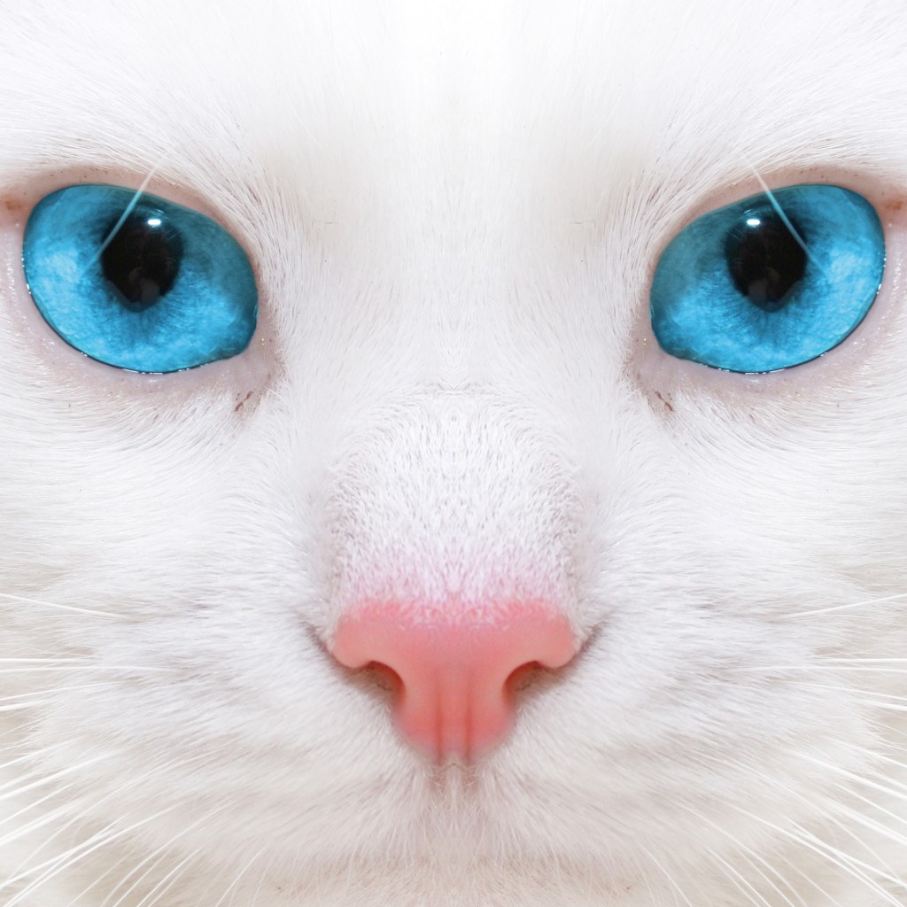 Beautiful eyes