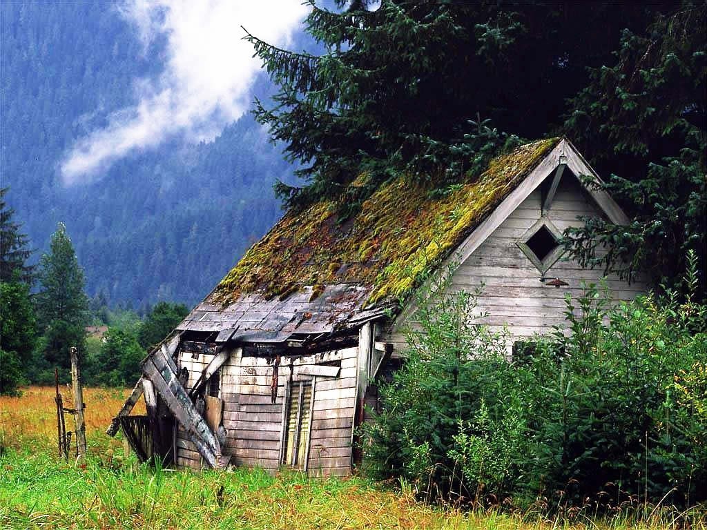 山中小屋